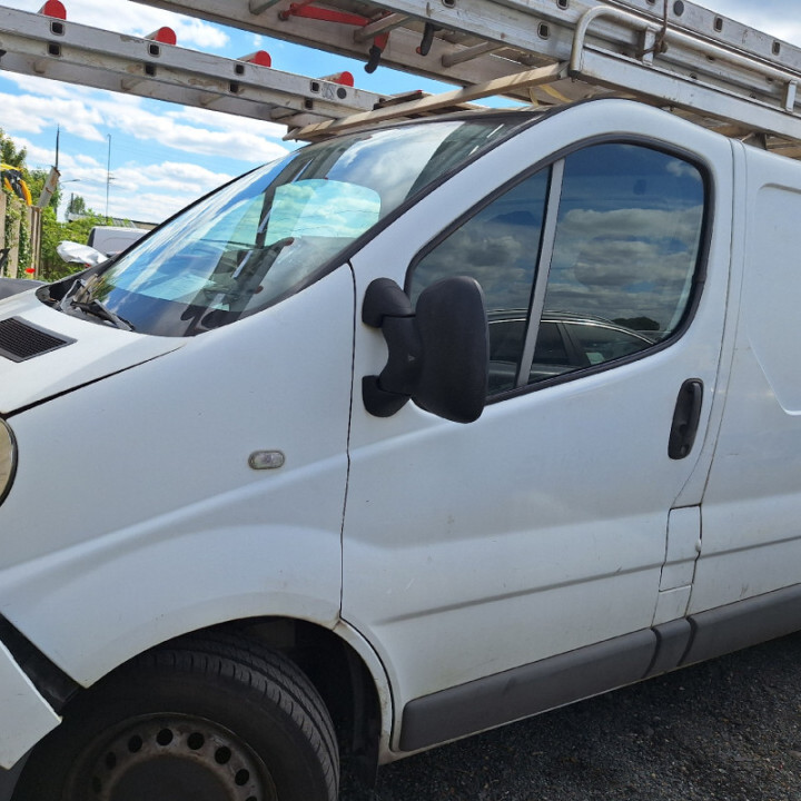 Feu arriere principal gauche (feux) RENAULT TRAFIC 2 Photo n°10